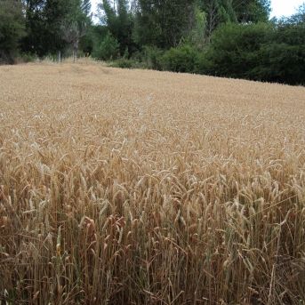 fotonoticia_20251023175401_1920 fotonoticia_20251023175401_1920