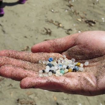 fotonoticia_20251023181829_1920