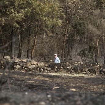 fotonoticia_20250926153352_1920 fotonoticia_20250926153352_1920