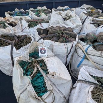 fotonoticia_20250926161920_1920