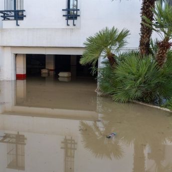 fotonoticia_20251024131954_1920 fotonoticia_20251024131954_1920