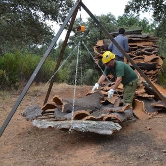 fotonoticia_20250928101951_1920 fotonoticia_20250928101951_1920