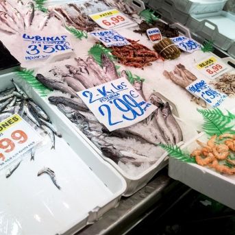 fotonoticia_20250928124055_1920