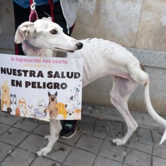 fotonoticia_20251024184002_1920 fotonoticia_20251024184002_1920