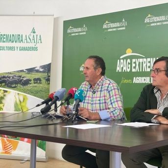 fotonoticia_20250929114930_1920