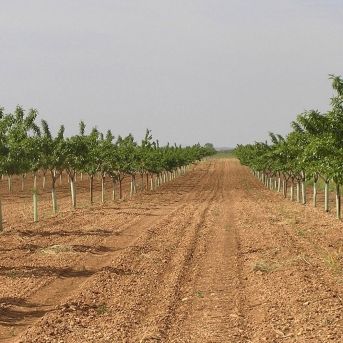 fotonoticia_20250929123313_1920