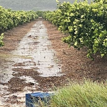 fotonoticia_20250929141137_1920 fotonoticia_20250929141137_1920