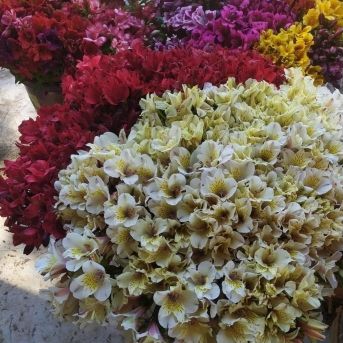 fotonoticia_20251027122136_1920 fotonoticia_20251027122136_1920