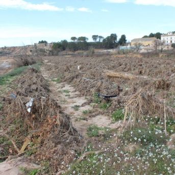 fotonoticia_20251027124204_1920 fotonoticia_20251027124204_1920