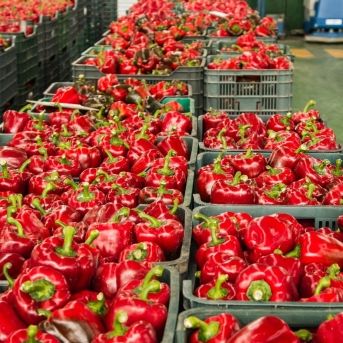 fotonoticia_20250930114257_1920