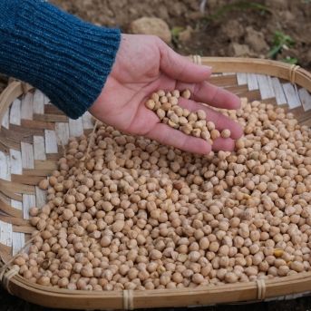 fotonoticia_20250930120537_1920