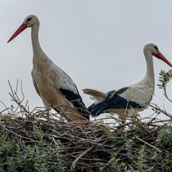 fotonoticia_20251027165053_1920 fotonoticia_20251027165053_1920