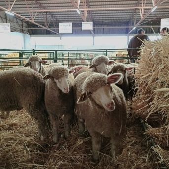 fotonoticia_20251027180233_1920