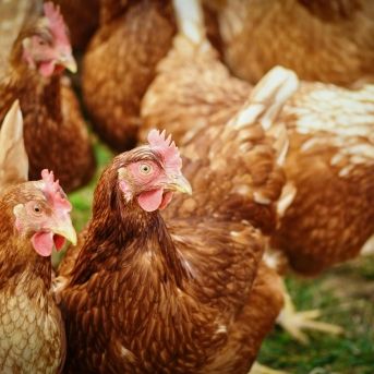 fotonoticia_20251027184542_1920