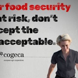 Diez lineas rojas COPA Cogeca