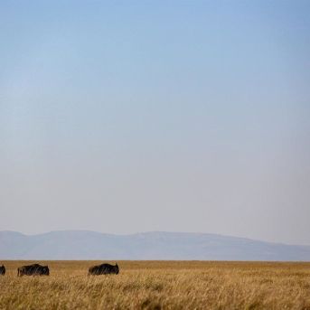 fotonoticia_20251028101913_1920