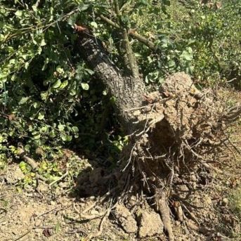 fotonoticia_20251028104153_1920