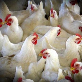 fotonoticia_20251028105604_1920 fotonoticia_20251028105604_1920