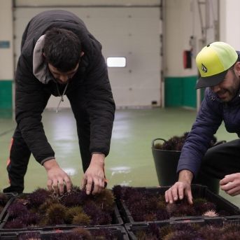 fotonoticia_20251028120702_1920 fotonoticia_20251028120702_1920