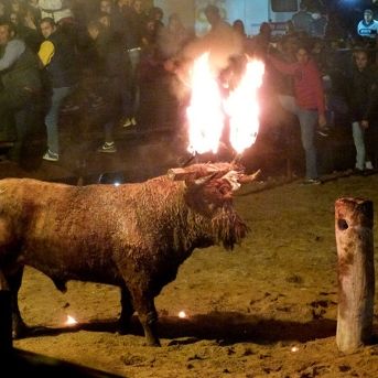 fotonoticia_20251001094510_1920 fotonoticia_20251001094510_1920