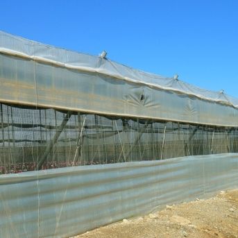 fotonoticia_20251001103709_1920 fotonoticia_20251001103709_1920