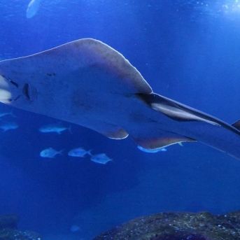 fotonoticia_20251001122013_1920 fotonoticia_20251001122013_1920