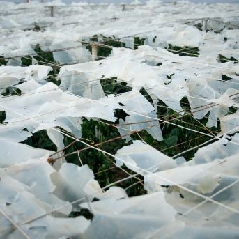 fotonoticia_20251028151144_1920