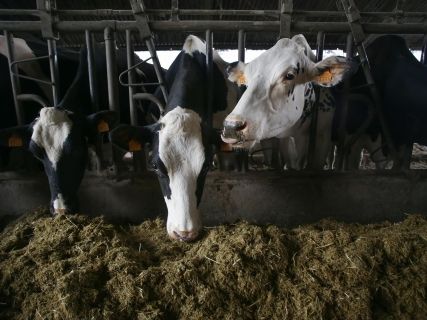 fotonoticia_20251028185349_1920