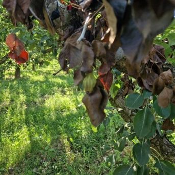 fotonoticia_20251001154449_1920 fotonoticia_20251001154449_1920