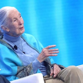 fotonoticia_20251001203520_1920 fotonoticia_20251001203520_1920