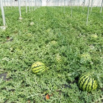 fotonoticia_20251029112400_1920 fotonoticia_20251029112400_1920