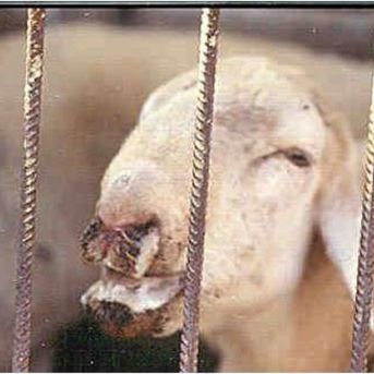 fotonoticia_20251002091934_1920