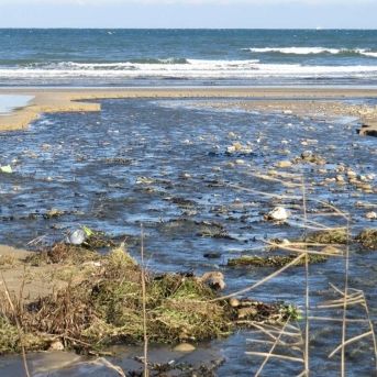 fotonoticia_20251002103730_1920