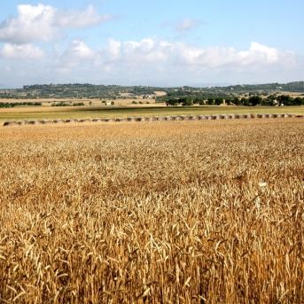 fotonoticia_20251029144106_1920