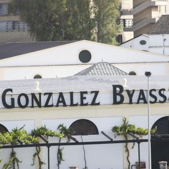 fotonoticia_20251029154419_1920