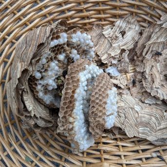 fotonoticia_20251029184105_1920