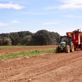 fotonoticia_20251029182802_1920