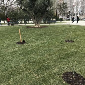 fotonoticia_20251029193052_1920