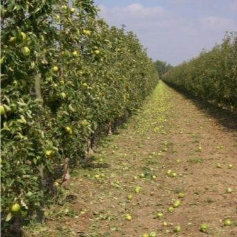 fotonoticia_20251002145438_1920 fotonoticia_20251002145438_1920