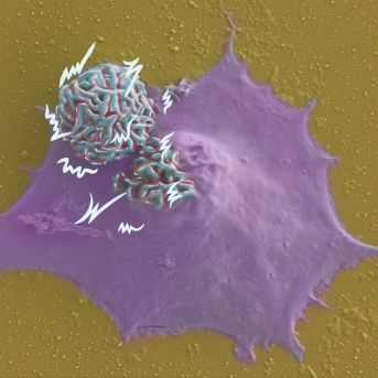 fotonoticia_20251002190008_1920