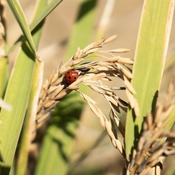 fotonoticia_20251002185551_1920 fotonoticia_20251002185551_1920