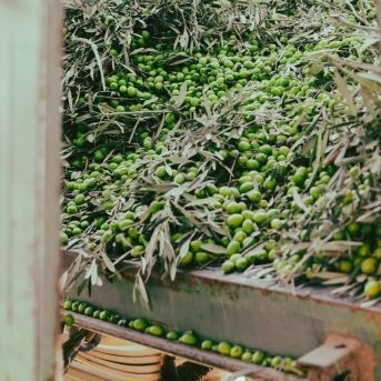 fotonoticia_20251003102954_1920