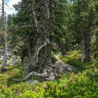 fotonoticia_20251030132854_1920-1