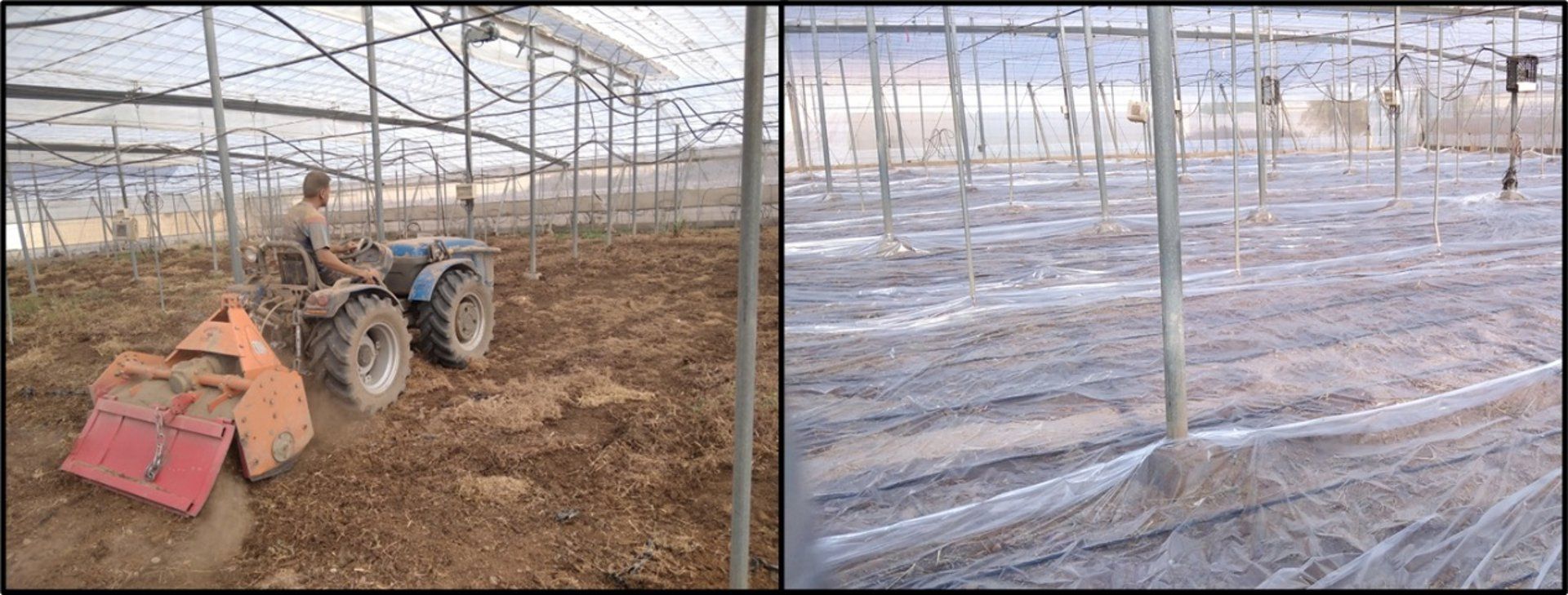 fotonoticia_20251003134418_1920