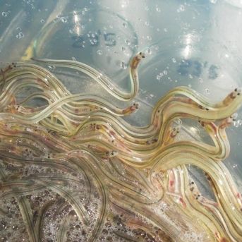 fotonoticia_20251003140845_1920 fotonoticia_20251003140845_1920