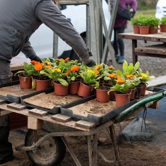 fotonoticia_20251003141651_1920