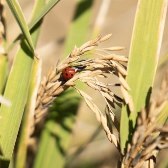 fotonoticia_20251031112921_1920 fotonoticia_20251031112921_1920