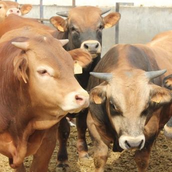 fotonoticia_20251031114057_1920