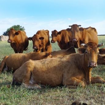 fotonoticia_20251031124410_1920