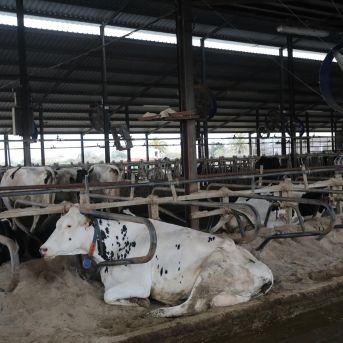 fotonoticia_20251031124515_1920